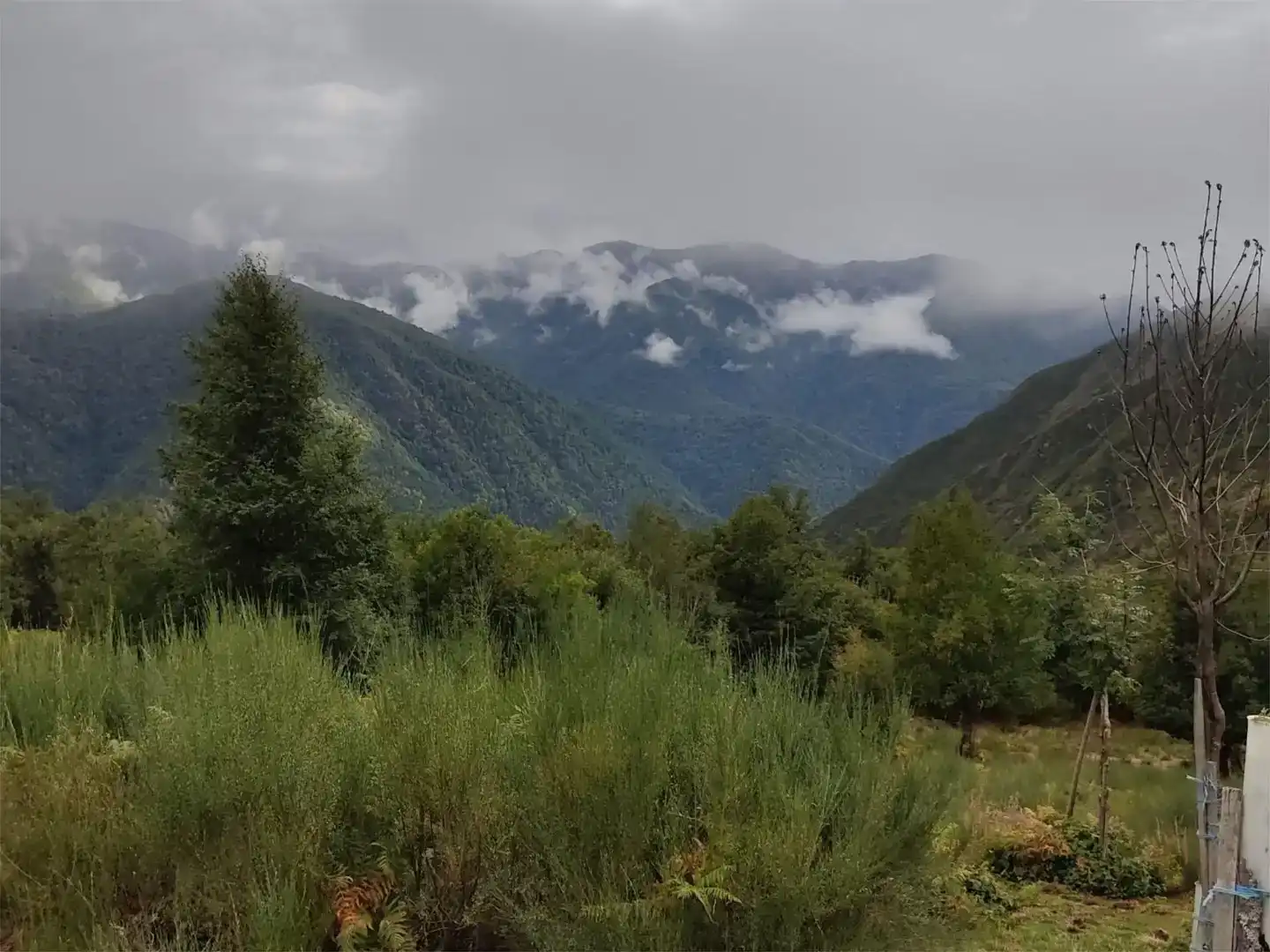 Vista exterior de Finca rústica en venda en Palacios del Sil