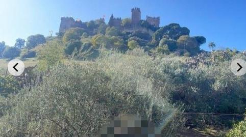 Foto 2 de Finca rústica en venda a Almodóvar del Río, Córdoba