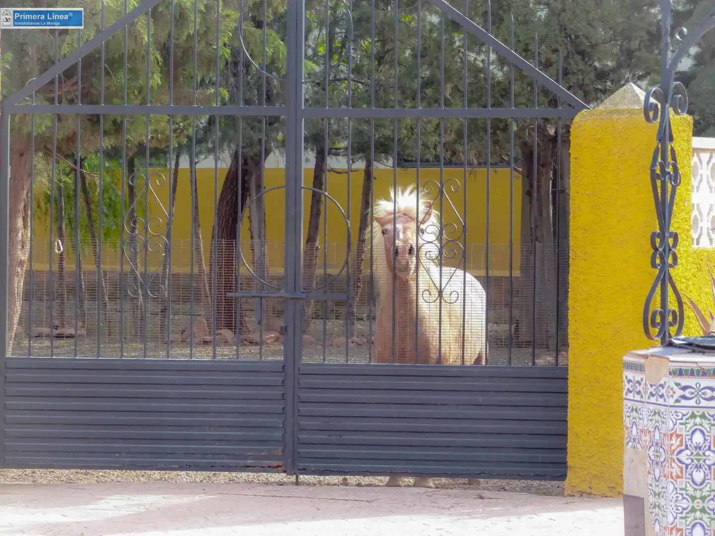 Vista exterior de Finca rústica en venda en Fuente Álamo de Murcia amb Calefacció, Jardí privat i Terrassa