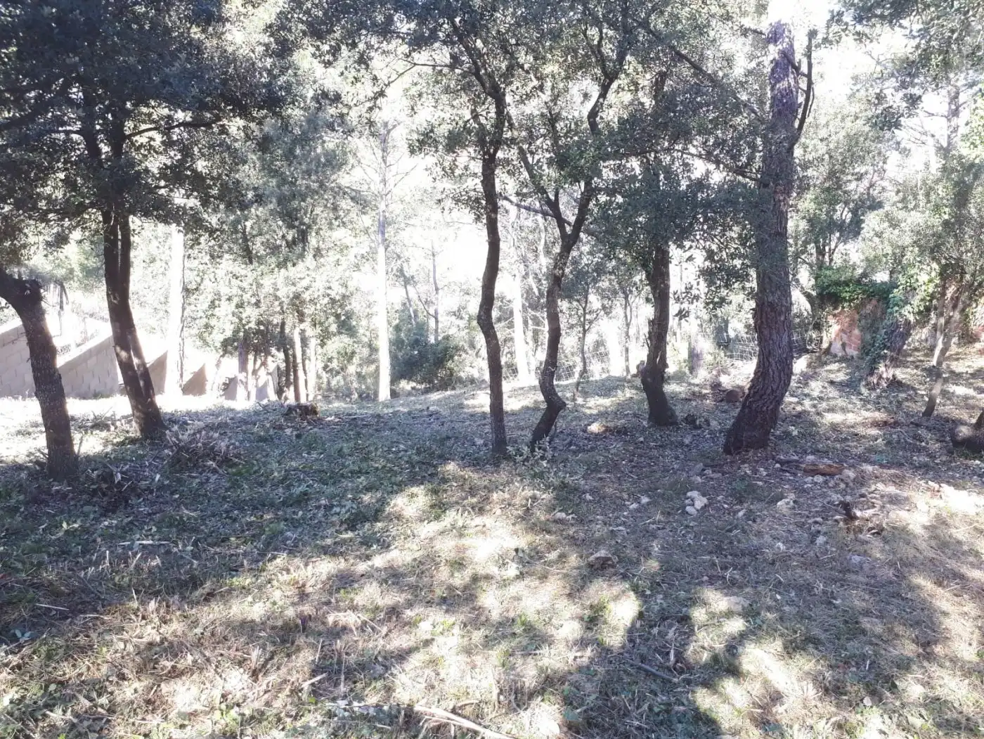 Terreno residenziale in vendita a Torrelles de Foix, imagen 5