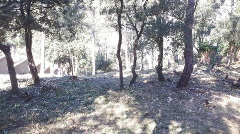 FANTASTICA PARCELA EN VENTA, immagine 5