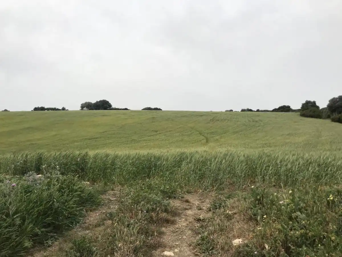 Terreny rústic en venda a Vejer, imagen 2
