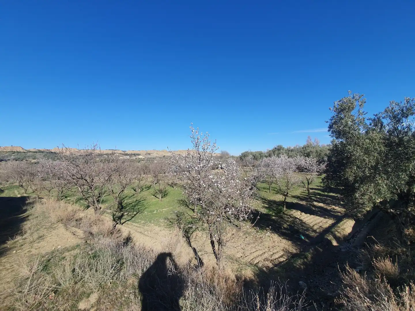 Terreni e lotti in vendita a Guadix, imagen 4