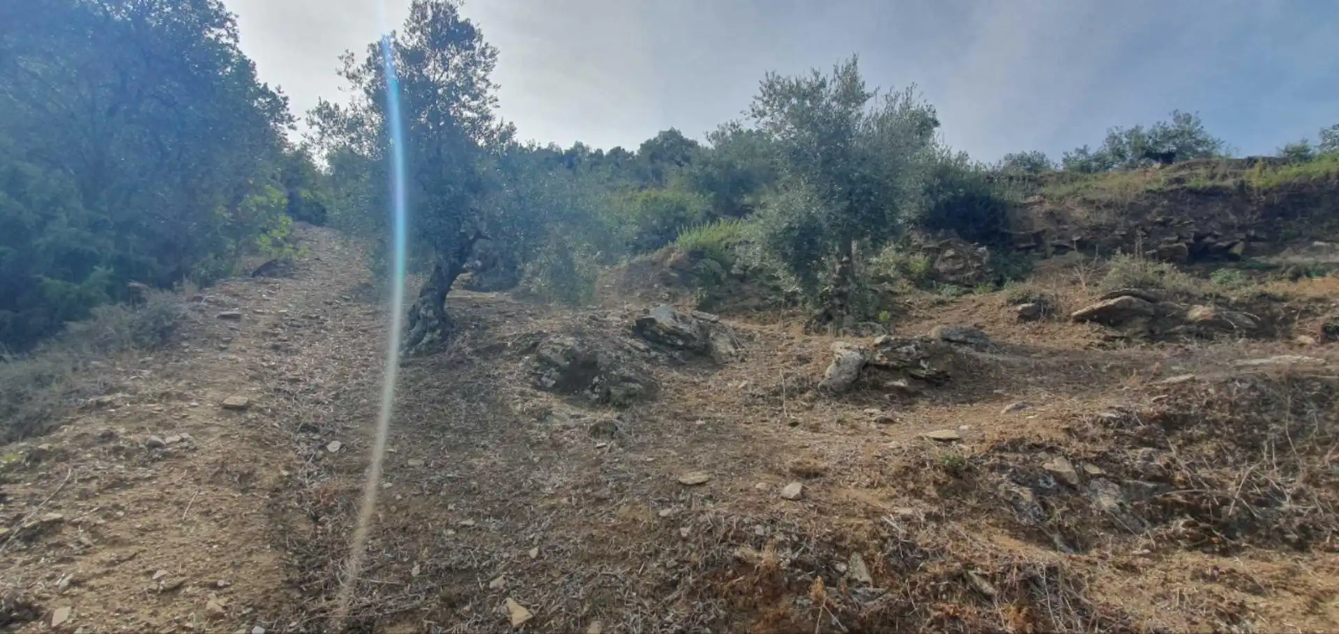 Terreni e lotti in vendita a Yunquera, imagen 6
