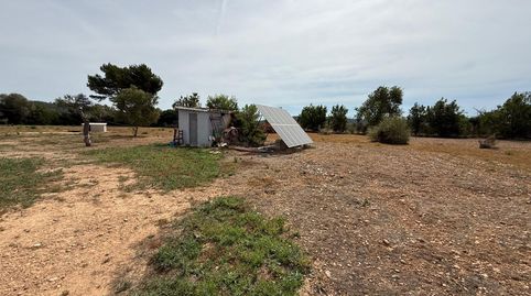 Foto 4 de Finca rústica en venta en Polígono Poligono 19, Llucmajor pueblo, Llucmajor
