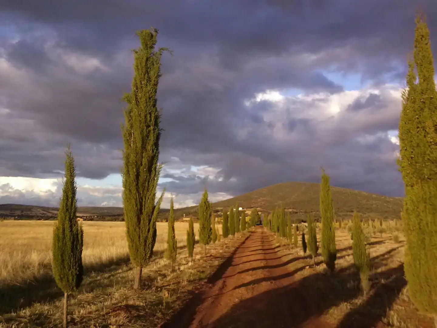 Vista exterior de Finca rústica en venta en Torrenueva con Aire acondicionado, Calefacción y Jardín privado