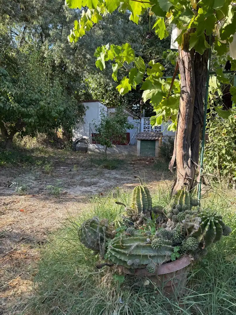 Terrain rustique à vendre à Cadrete, imagen 6