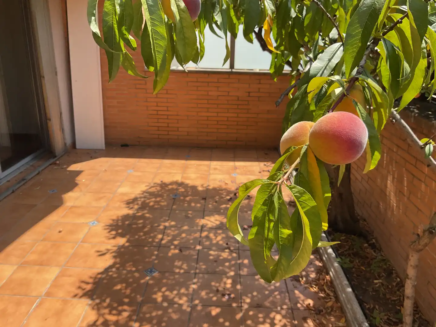 Piso con piscina en venta en Montgat, imagen 13
