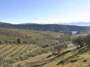Terreny rústic en venda a Avenida de Extremadura