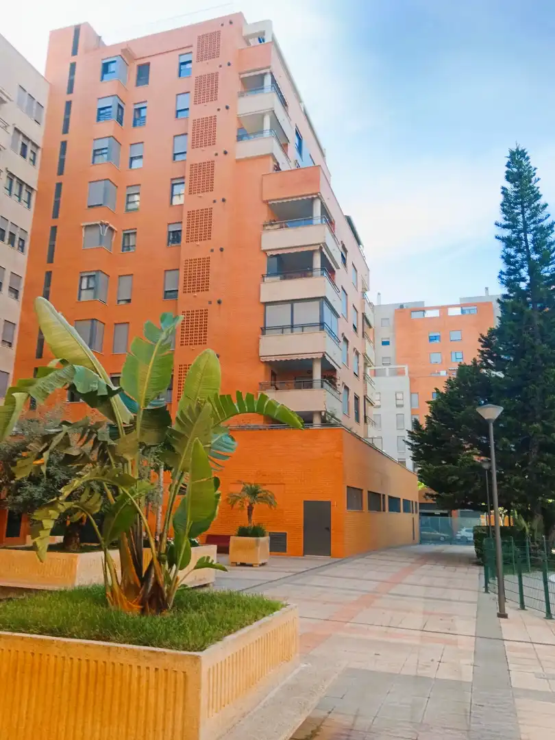 Vista exterior de Pis en venda en Campanar