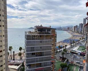 Bedroom of Apartment to rent in Benidorm  with Terrace