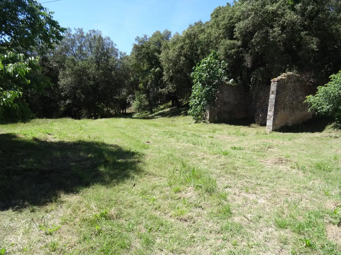 Finca rústica en venta en Bescanó