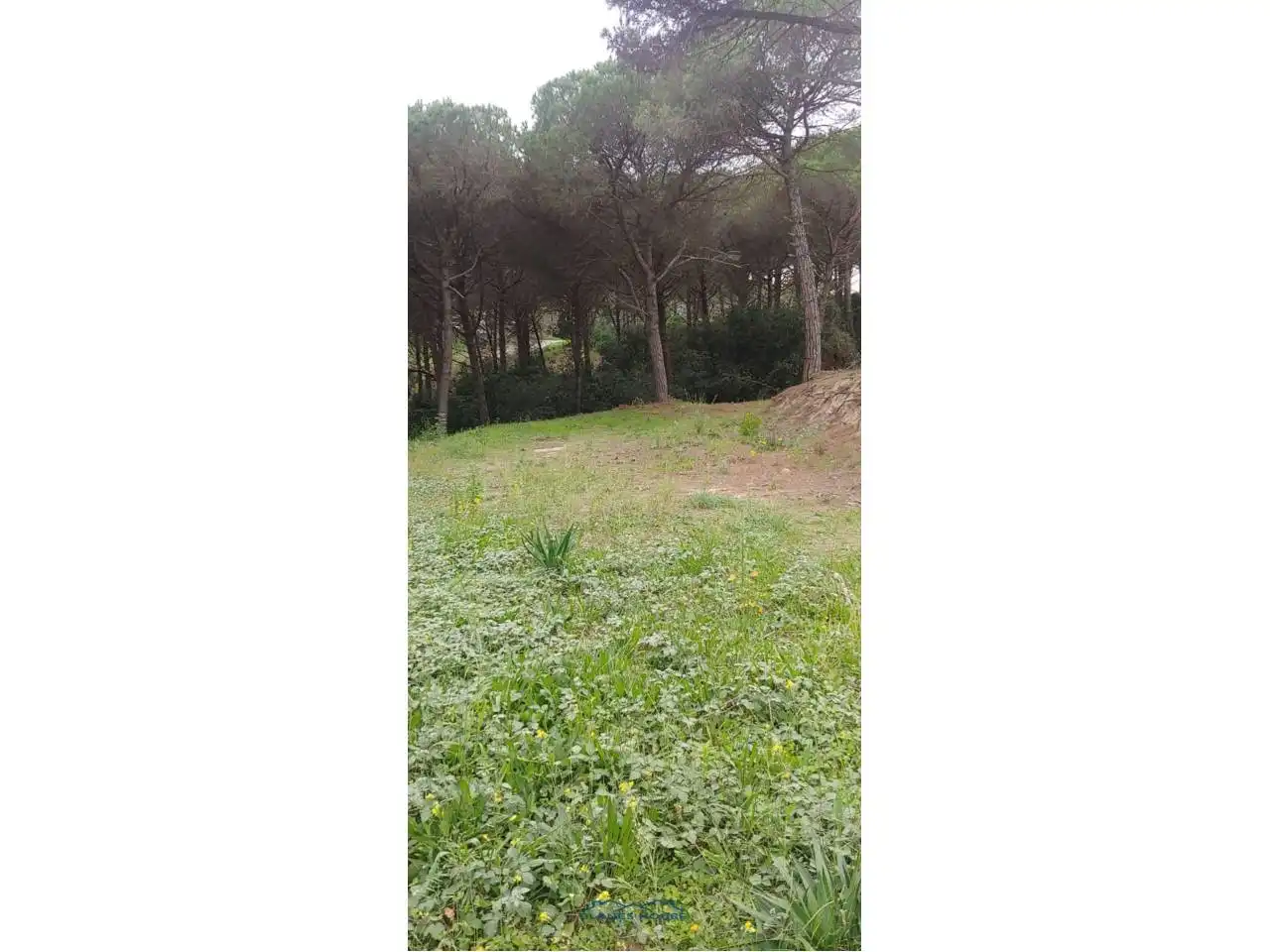 Terreno rustico in vendita a Calle San Daniel 0, imagen 3