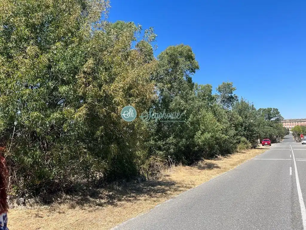Terreny rústic en venda a Navas de Riofrío, imagen 8