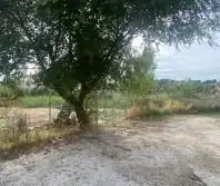 Terrenos y solares en venta en Seseña Nuevo, imagen 5