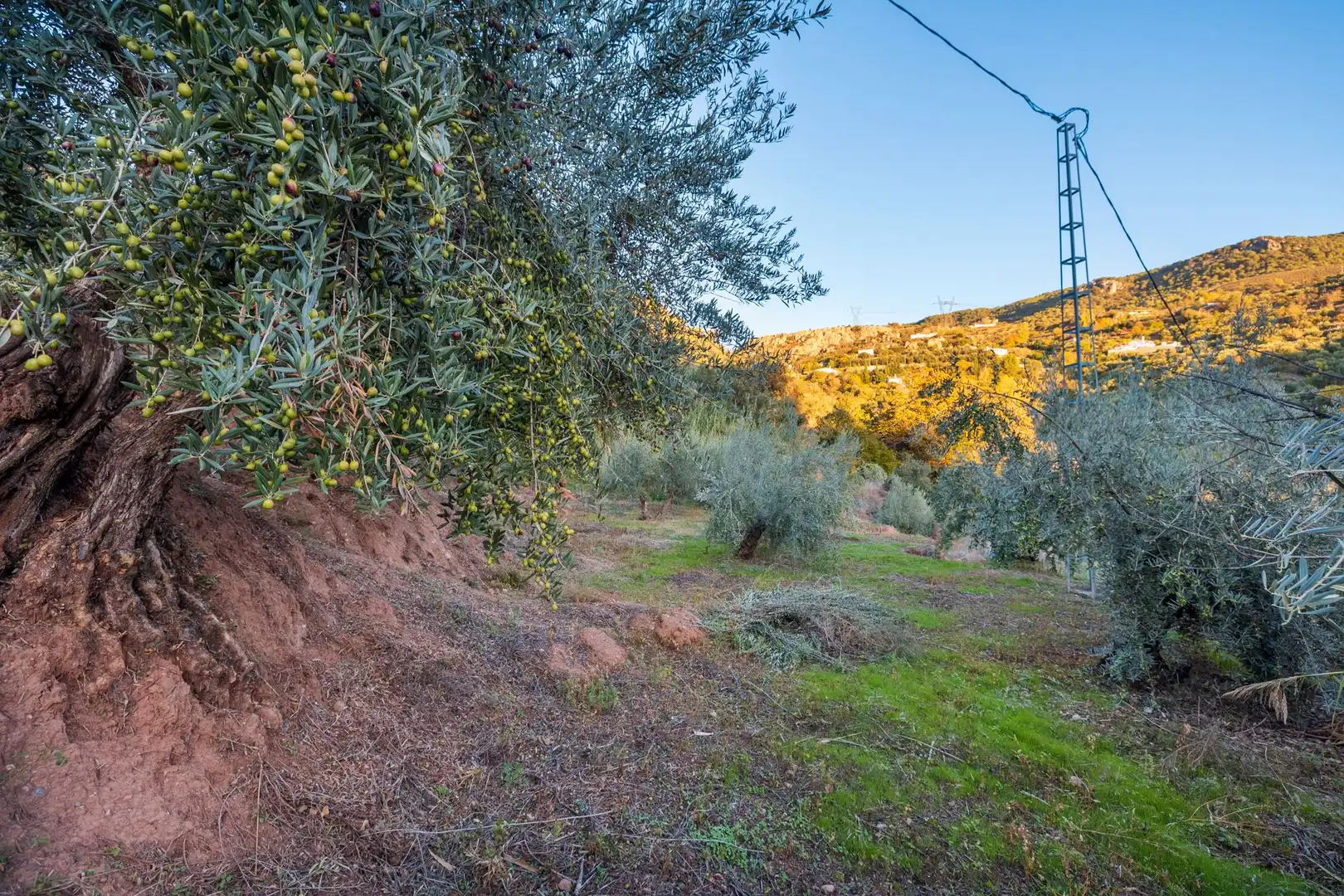 Casa o xalet en venda en Cogollos de la Vega