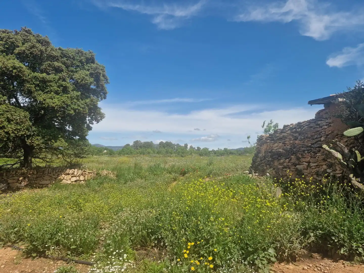 Terreno rustico in vendita a Valls, imagen 3