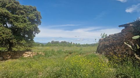 RUSTICA, PIEZA DE TIERRA, imagen 3