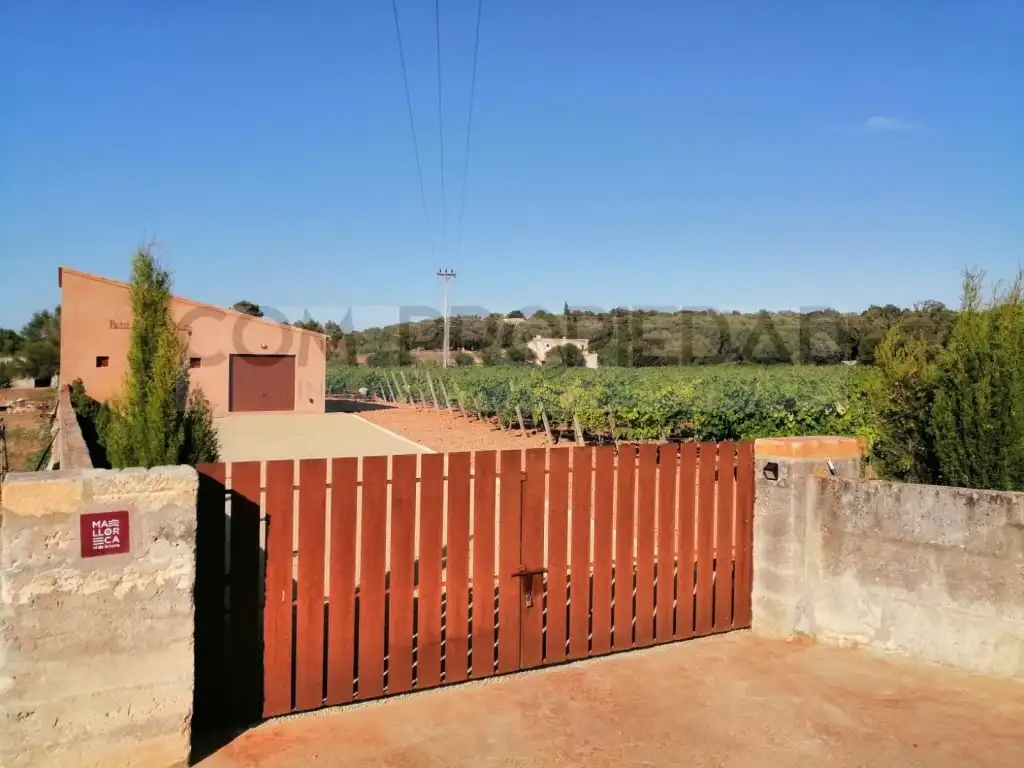 Houses for sale in Costitx