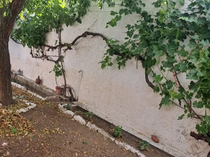 Habitatge amb jardí en venda a Calle Huesca 18, imagen 58