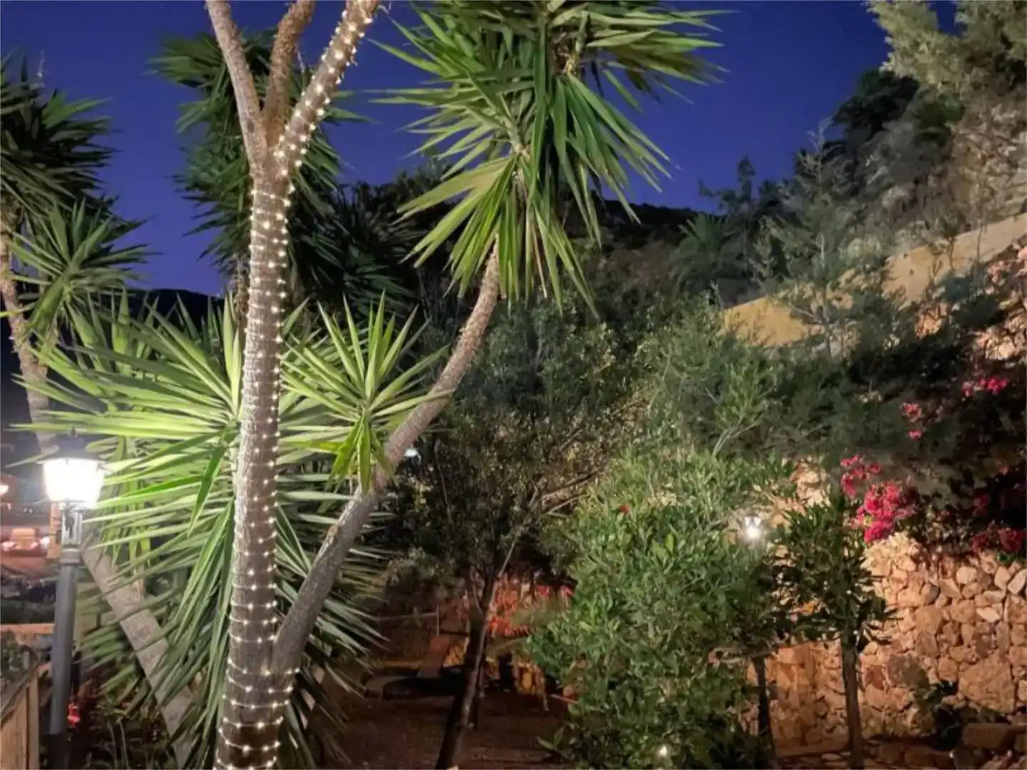 Jardín de Local en venta en Vallehermoso con Amueblado