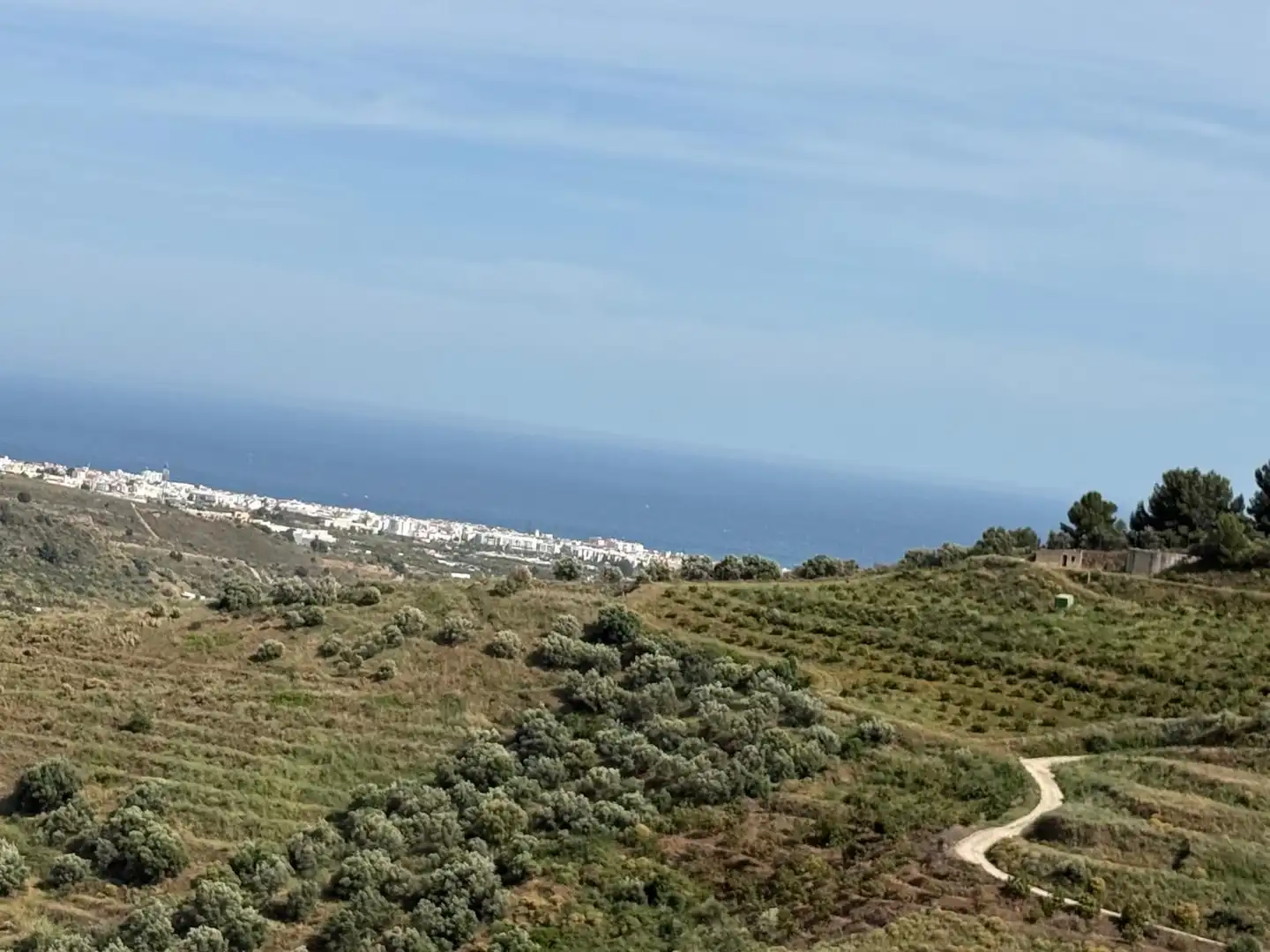 Terreni e lotti in vendita a Parcela PARCELA 309, POLIGONO 3, DEL PARAJE BARRANCO PÉREZ
