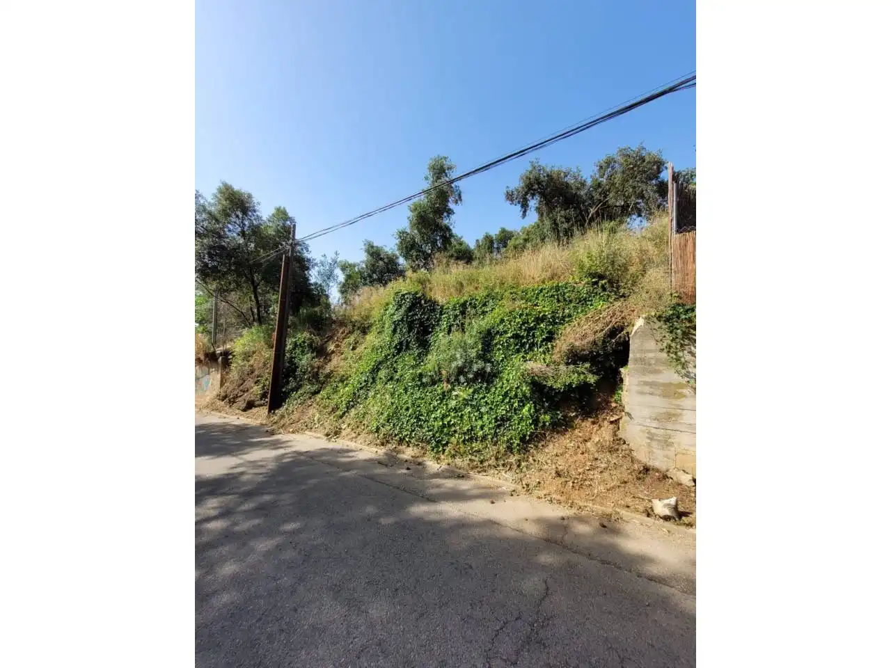 Terreny rústic en venda a El Racó - Sant Feliu del Racó, imagen 3