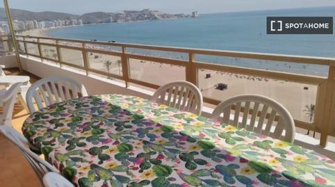 Foto 2 de Apartament per a compartir a Sant Antoni, Cullera