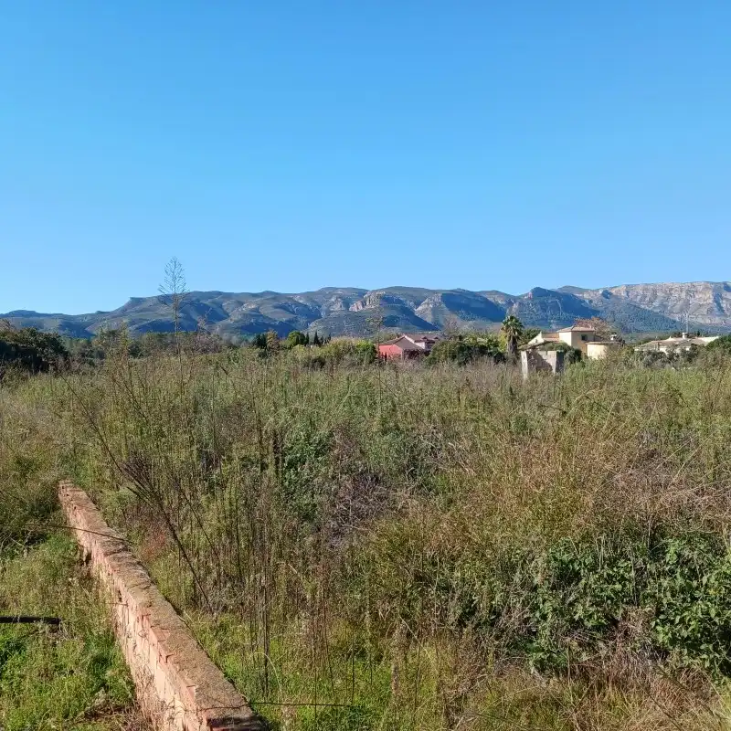 Terreny rústic en venda a Partida Cova Negra, imagen 18