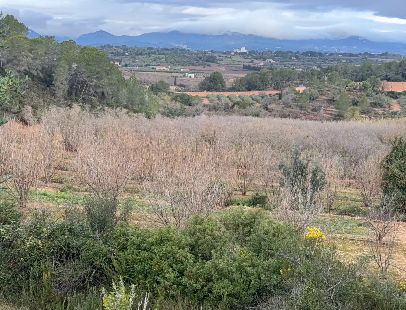 Terrain rustique à vendre à Carretera a la Maso 1G, imagen 3