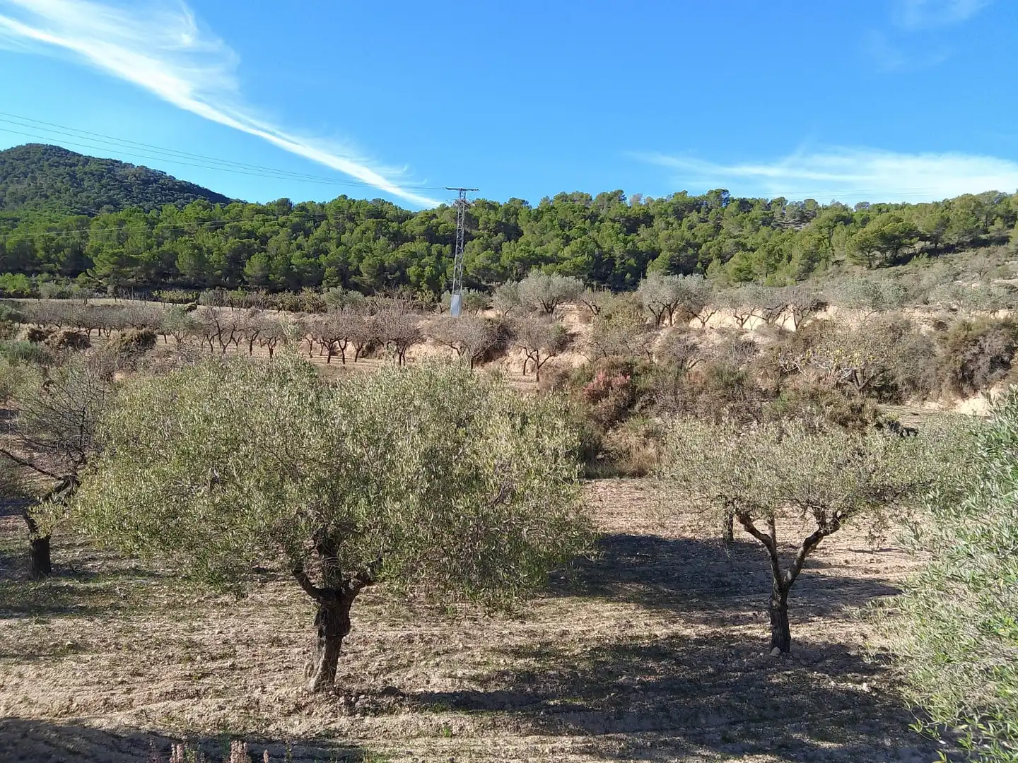 Terreno rustico in vendita a Carrer la Creu, imagen 38