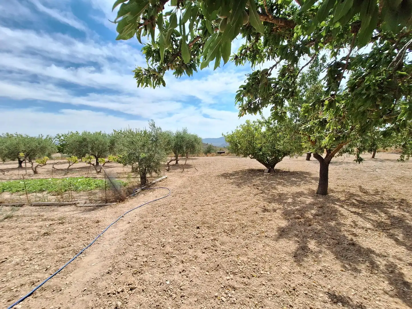 Casa o chalet en venta en Monóvar  / Monòver con Aire acondicionado, Calefacción y Jardín privado