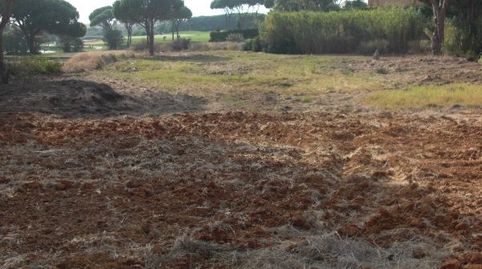 Magnificas parcelas en el residencial Grazalema y Parcelas del Golf en la lujosa urbanización del Novo Sancti Petri