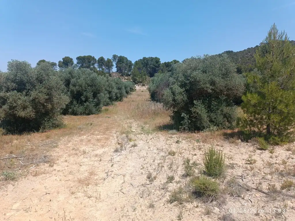 Rural land for sale in N/A, imagen 2