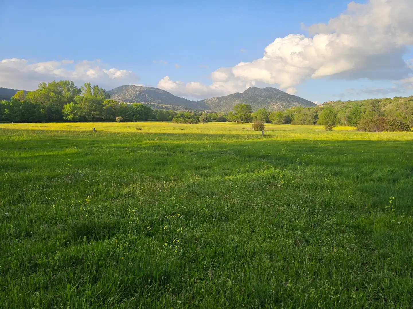 Rural land for sale in Zarzalejo, imagen 6