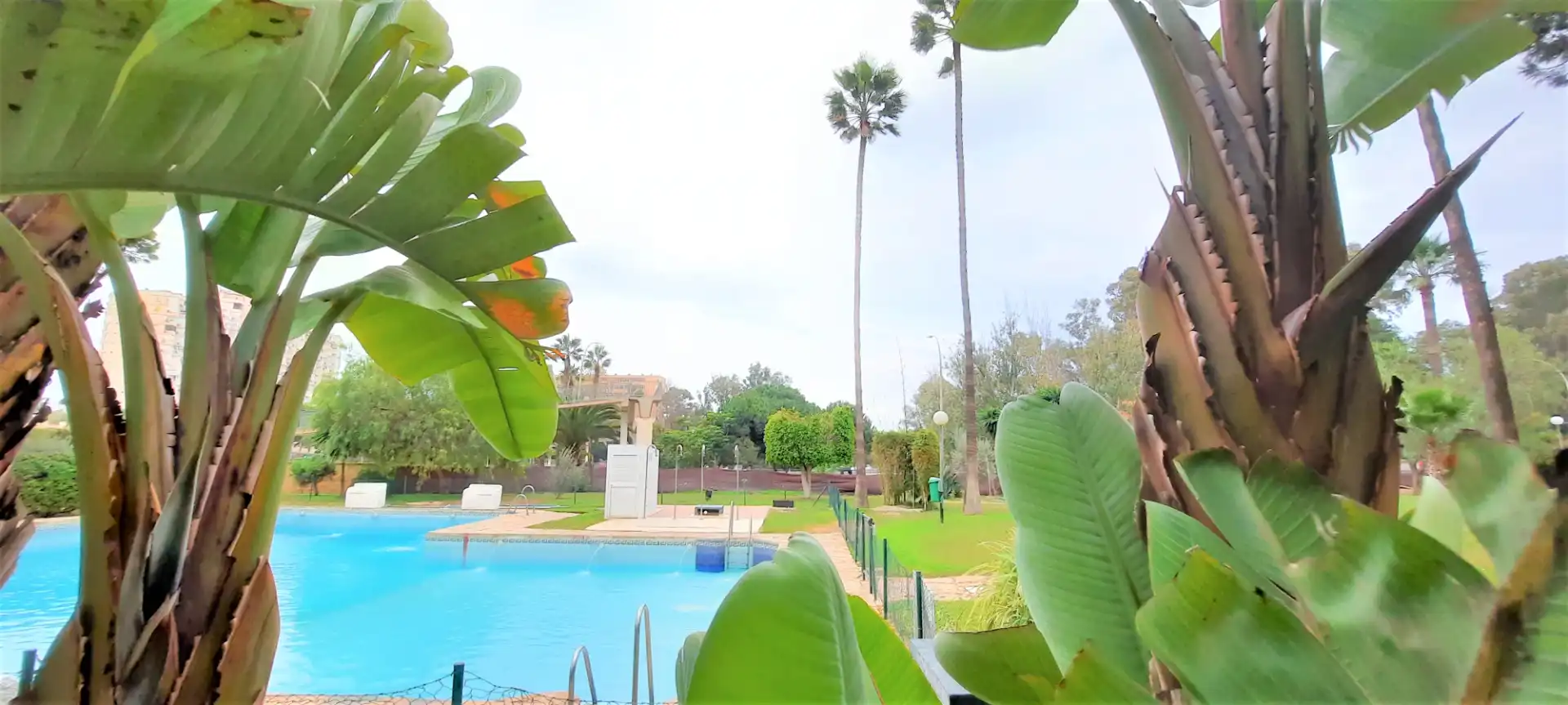 Swimming pool of Apartments for sale in Torremolinos  with Air Conditioner, Heating and Terrace