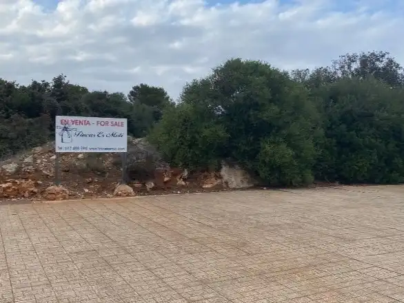 Terreny industrial en venda en Sant Lluís