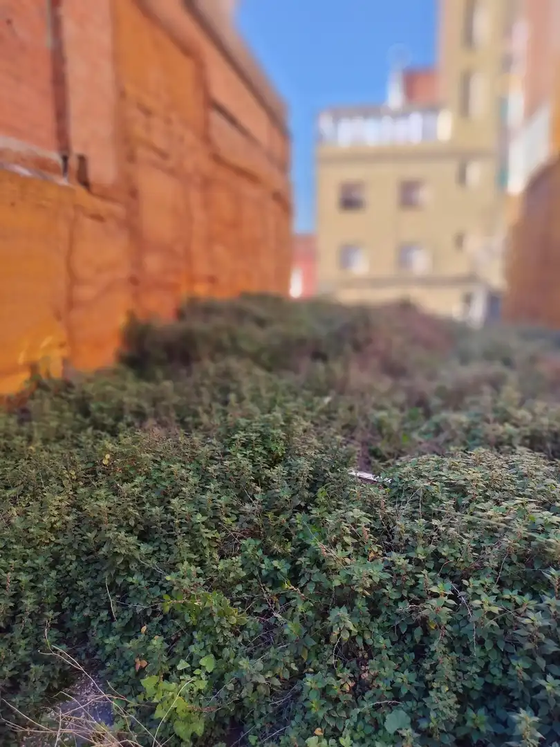 Exterior view of Residential for sale in Badalona