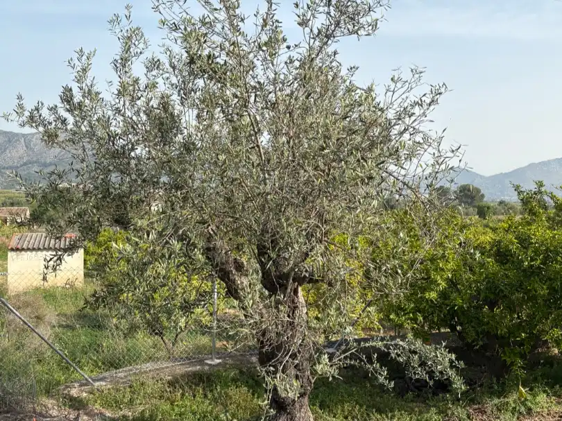 Casa rustica con giardino in vendita a Camí dels Plans 90, imagen 18