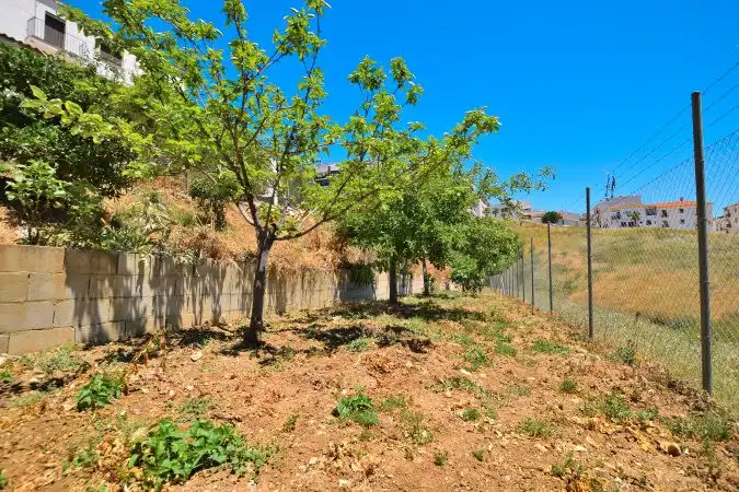 Terreni e lotti in vendita a Centro, imagen 6