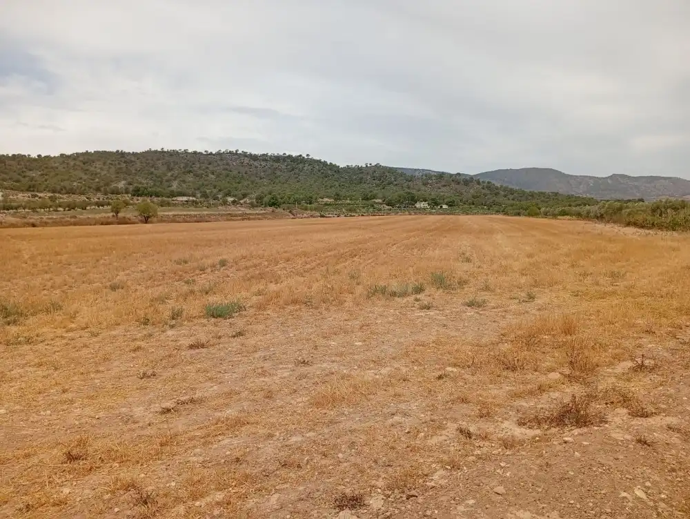 Residential land for sale in N/A