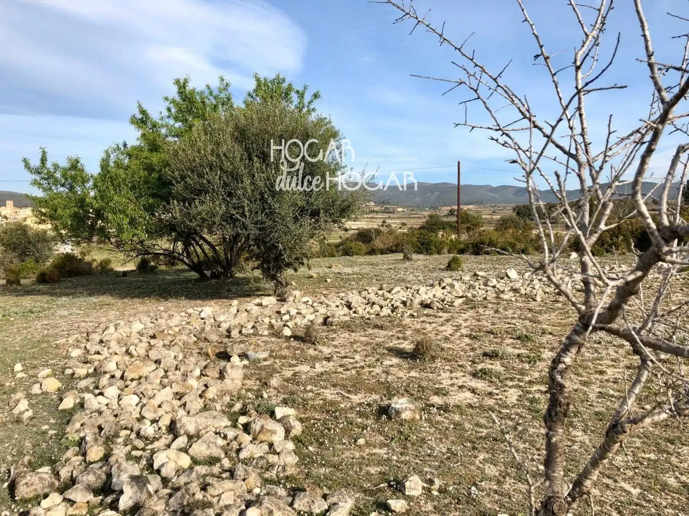 Rural land for sale in Gregal del, imagen 6