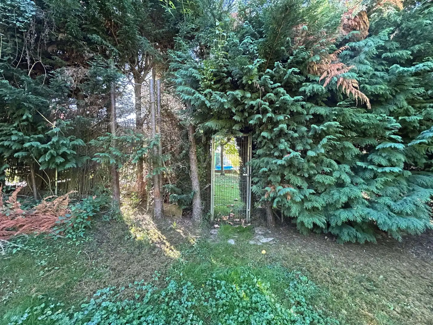 Jardí de Casa o xalet en venda en Sariegos amb Calefacció, Terrassa i Piscina