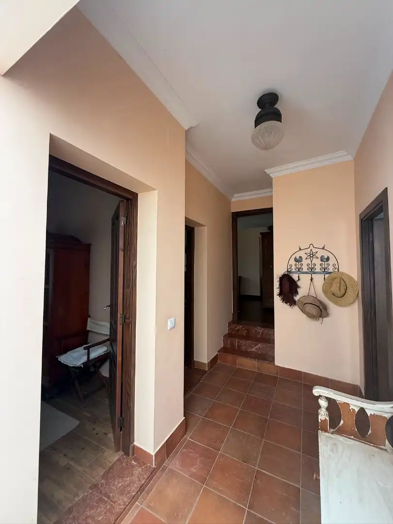 Chalet con piscina en venta en Carretera Olivares, imagen 29