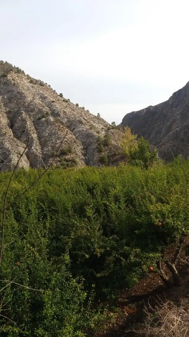 Rural land for sale in Villamena, imagen 11