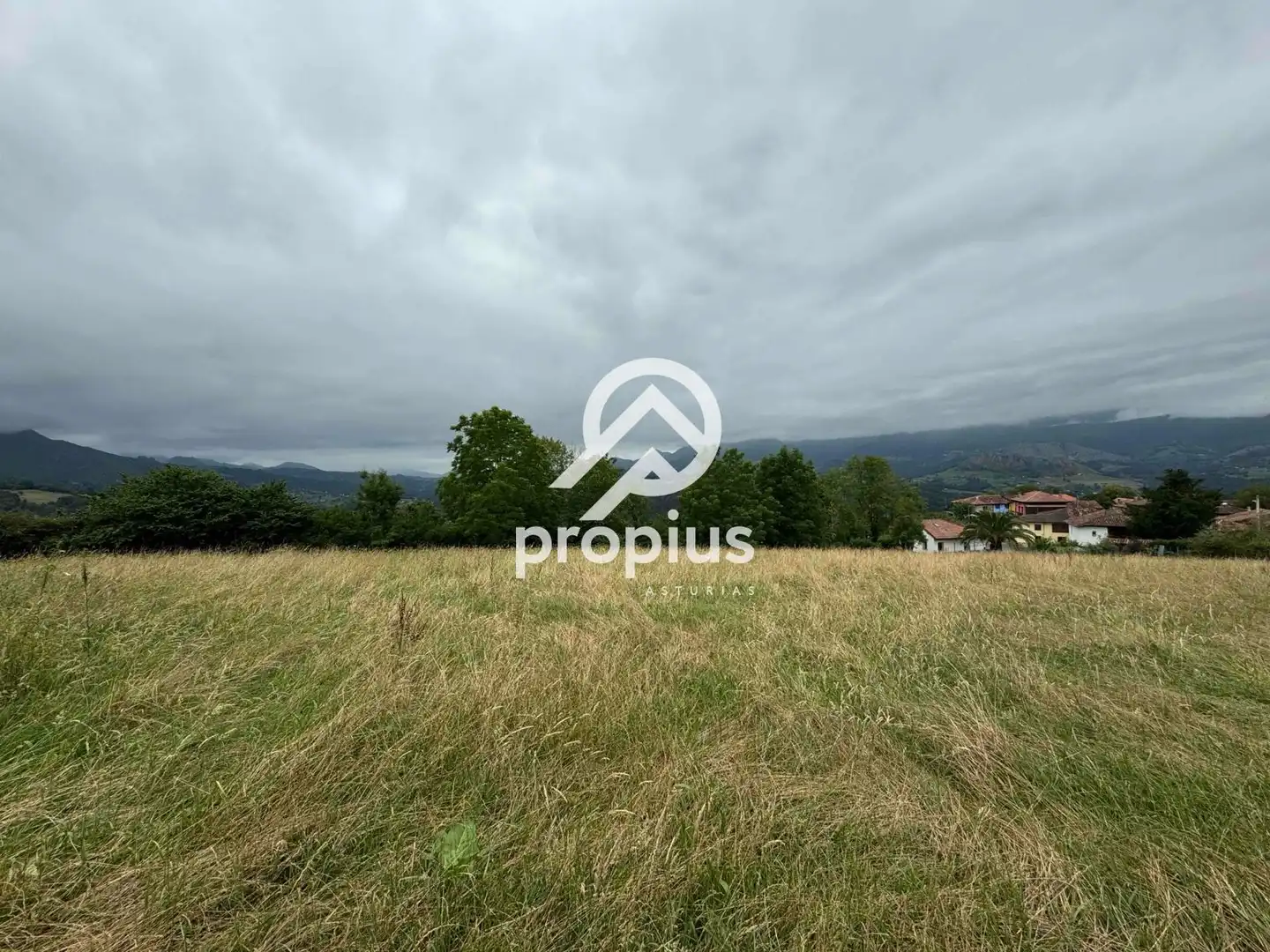 Rural land for sale in Arenas, imagen 20