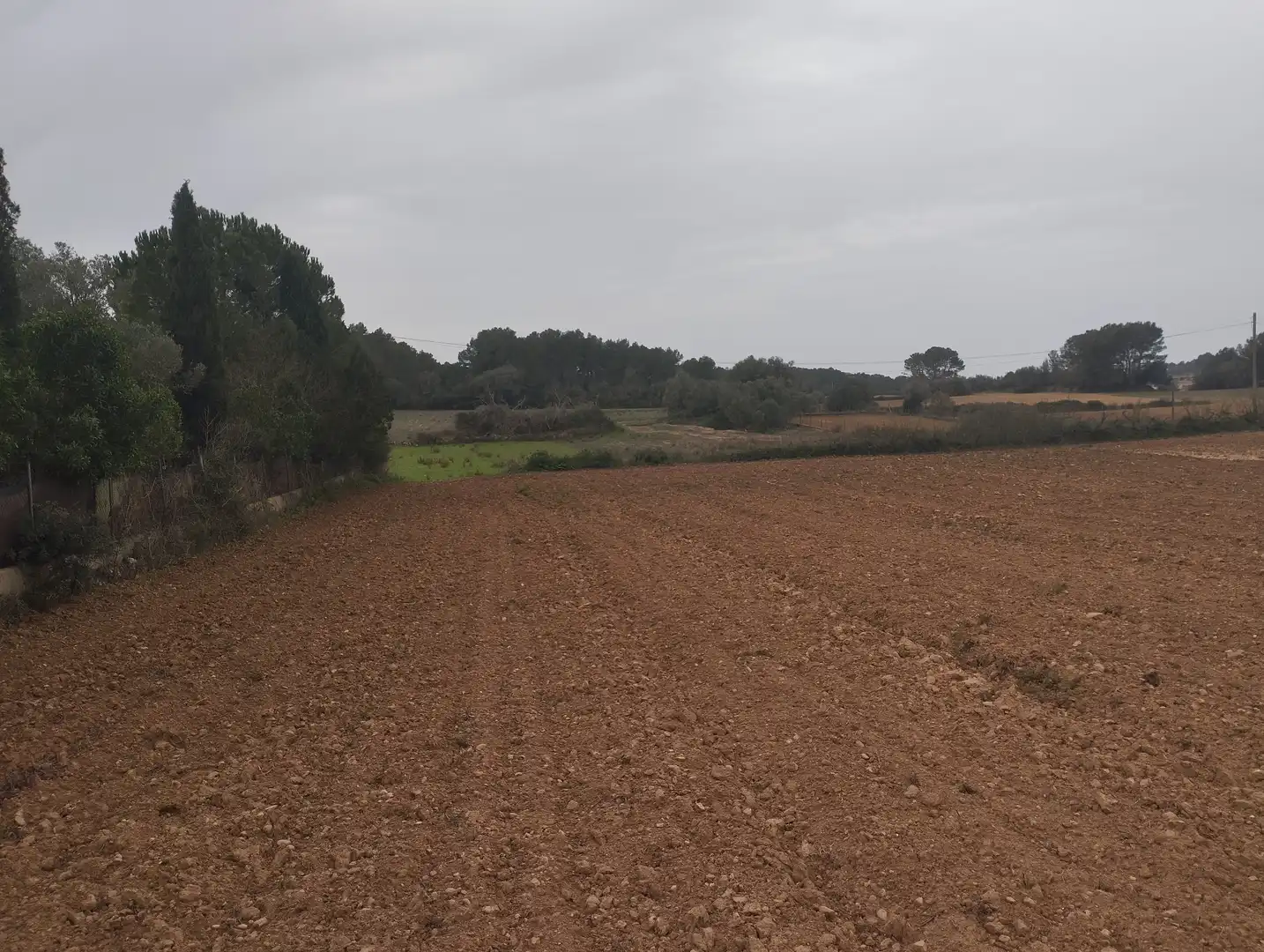 Rural land for sale in Algaida, imagen 4