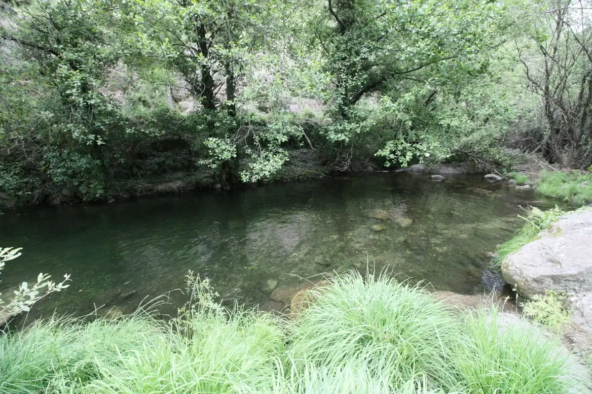 Schwimmbecken von Country house zum Verkauf in Arenas de San Pedro mit Heizung, Privatgarten und Terrasse