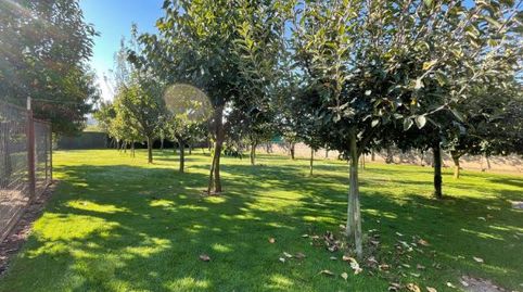 Photo 4 of Houses for sale in Estrada Tui-a Guarda, O Rosal , Pontevedra