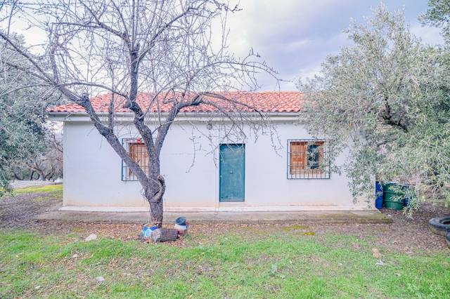 Terreno en Venta en Autovia Pinos Genil en Pinos Genil